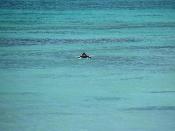 img_0078.jpg