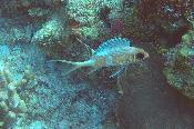 gopr1277.jpg