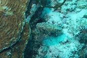 img_0859.jpg