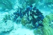 img_0966.jpg