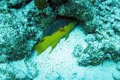 img_1044.jpg