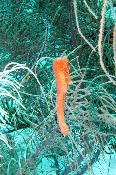 img_1065.jpg