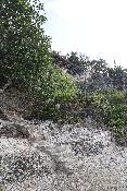 img_5229.jpg