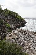 img_5239.jpg