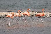 img_5242.jpg