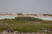 img_5371.jpg