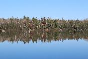 img_9549.jpg