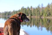 img_9551.jpg