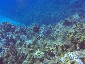 gopr0190.jpg