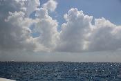 img_0478.jpg