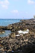 img_5594.jpg