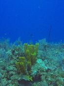 gopr0253.jpg