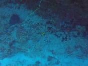 gopr0332.jpg
