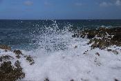 img_5734.jpg
